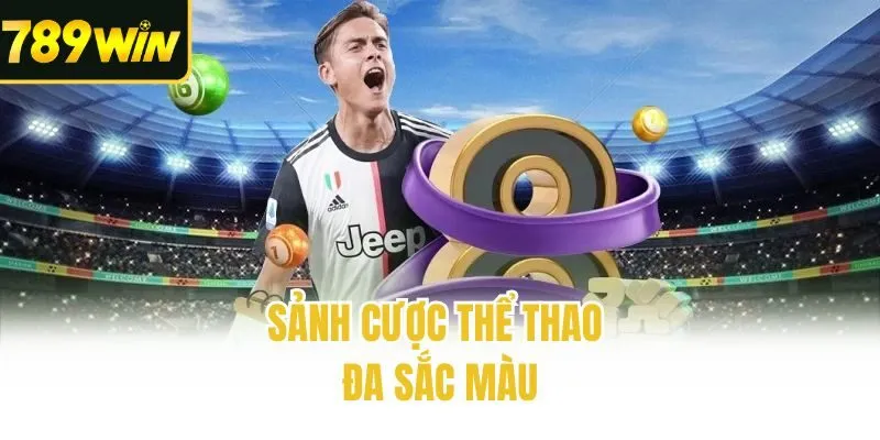 Sảnh cược thể thao đa sắc màu